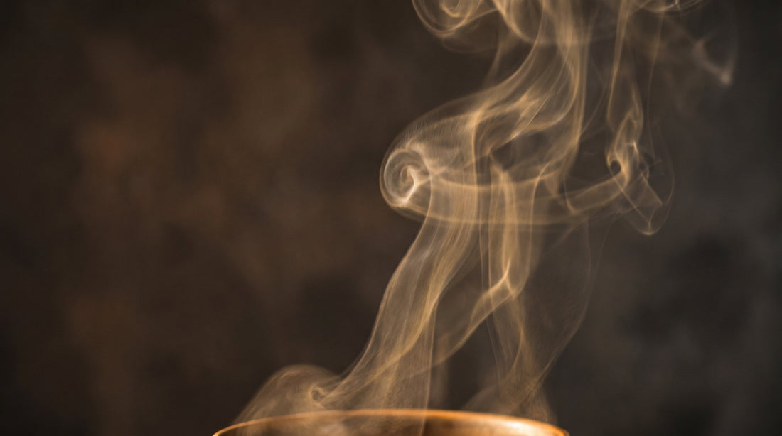 What Your Coffee Smells Like Before You Taste It