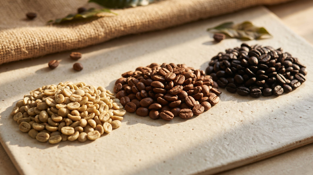 Light, Medium, or Dark Roast: What’s the Difference?