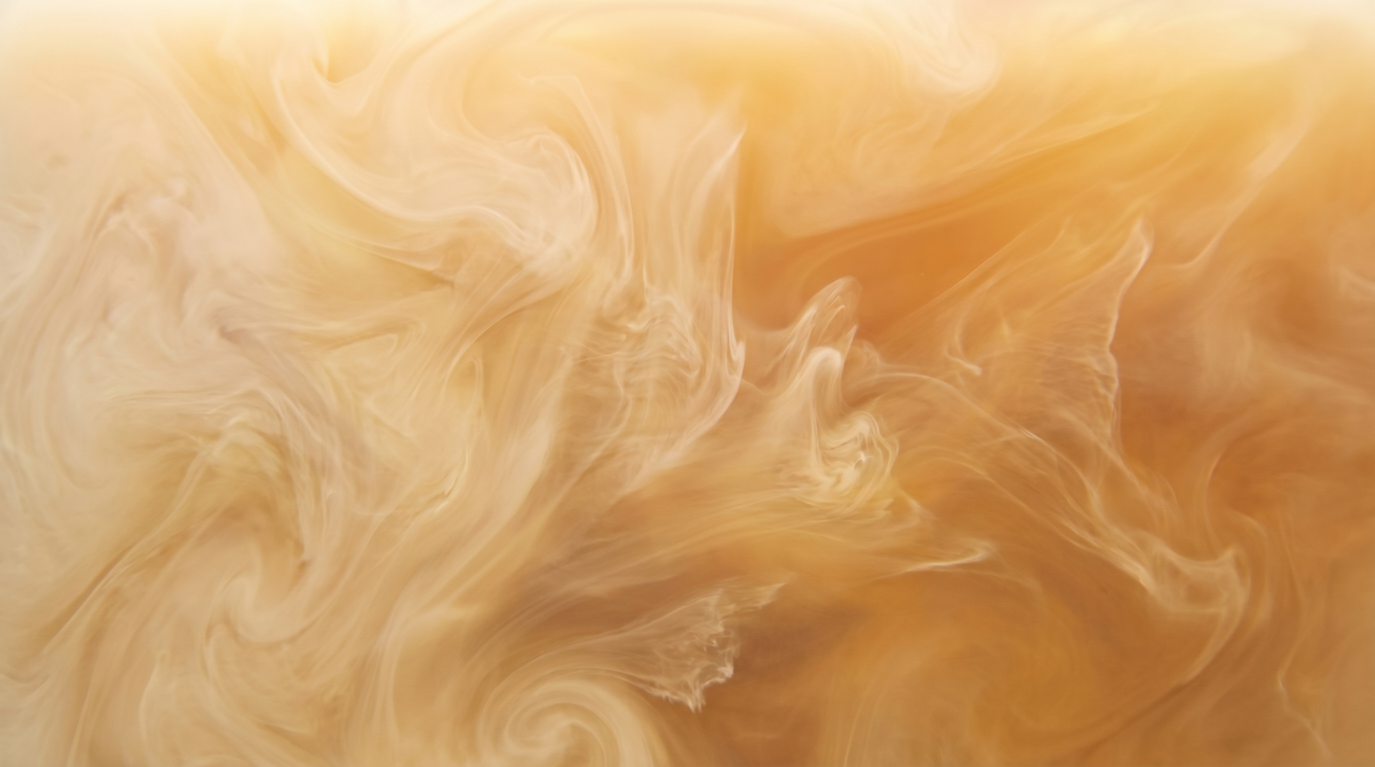 What Makes a Cup of Coffee “Smooth”?